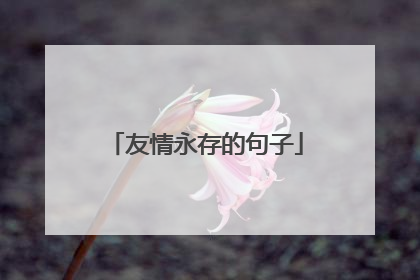友情永存的句子