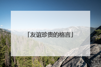 友谊珍贵的格言