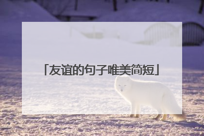 友谊的句子唯美简短