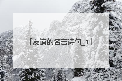友谊的名言诗句_1