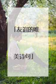 友谊的唯美诗句