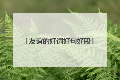 友谊的好词好句好段