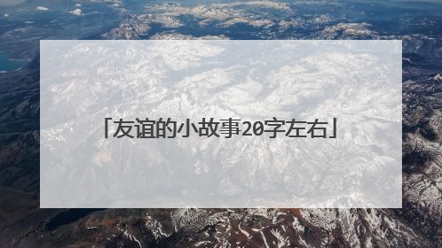 友谊的小故事20字左右