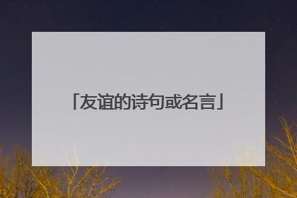 友谊的诗句或名言