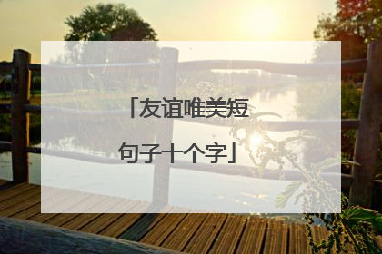 友谊唯美短句子十个字