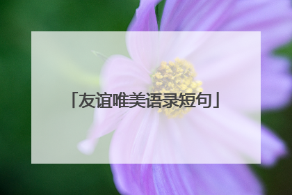 友谊唯美语录短句