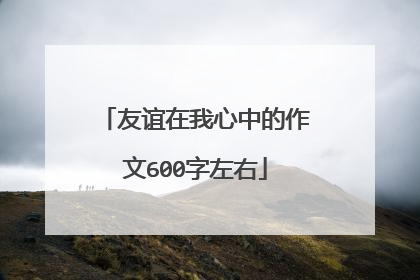 友谊在我心中的作文600字左右
