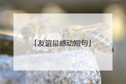 友谊最感动短句