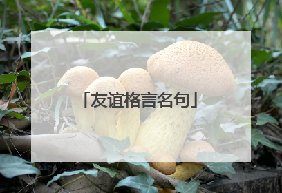 友谊格言名句