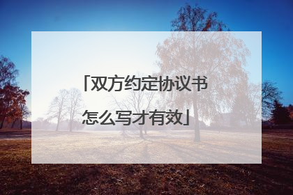 双方约定协议书怎么写才有效