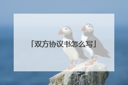 双方协议书怎么写