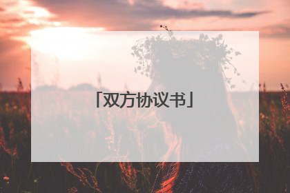 双方协议书