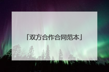 双方合作合同范本