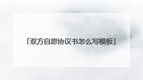双方自愿协议书怎么写模板
