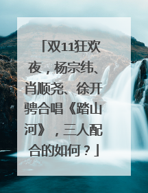 双11狂欢夜，杨宗纬、肖顺尧、徐开骋合唱《踏山河》，三人配合的如何？