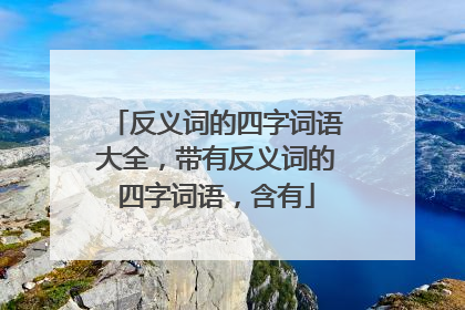 反义词的四字词语大全，带有反义词的四字词语，含有