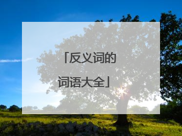 反义词的词语大全