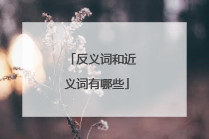 反义词和近义词有哪些