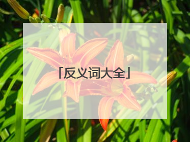 反义词大全