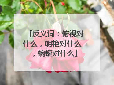 反义词：俯视对什么，明艳对什么，蜿蜒对什么