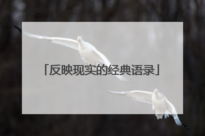 反映现实的经典语录