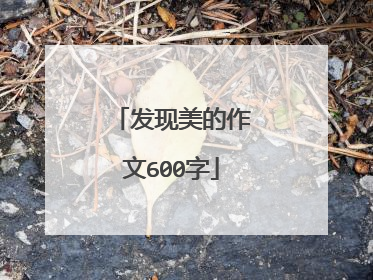 发现美的作文600字