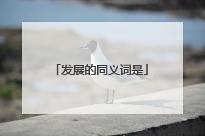 发展的同义词是