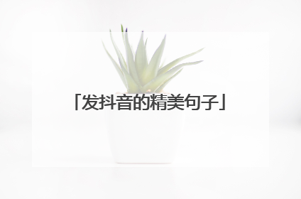发抖音的精美句子
