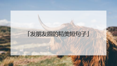 发朋友圈的精美短句子