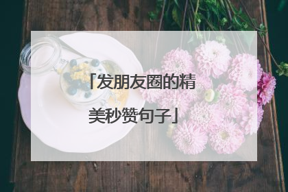 发朋友圈的精美秒赞句子