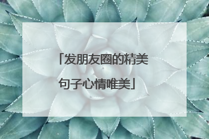 发朋友圈的精美句子心情唯美