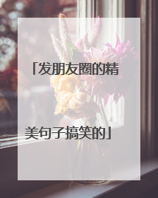 发朋友圈的精美句子搞笑的