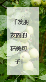 发朋友圈的精美句子