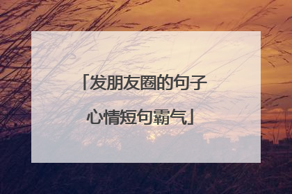 发朋友圈的句子 心情短句霸气