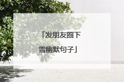 发朋友圈下雪幽默句子