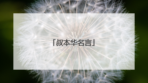 叔本华名言