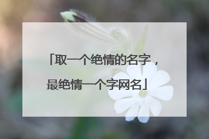 取一个绝情的名字,最绝情一个字网名