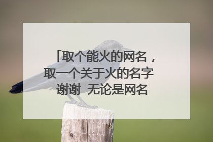取个能火的网名,取一个关于火的名字 谢谢 无论是网名还是姓名 都可以
