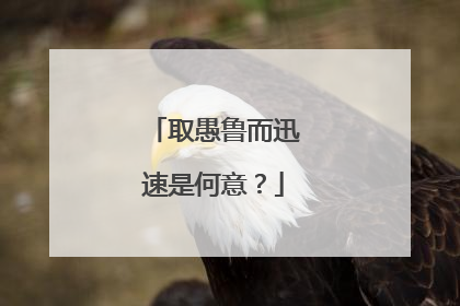 取愚鲁而迅速是何意？