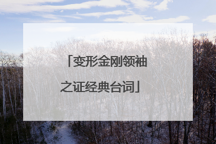 变形金刚领袖之证经典台词