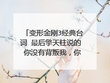 变形金刚3经典台词 最后擎天柱说的 你没有背叛我,你你背叛了你自己 英文是什么?