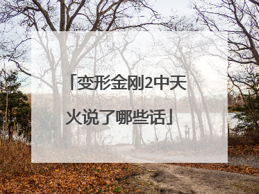 变形金刚2中天火说了哪些话