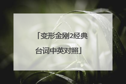 变形金刚2经典台词中英对照