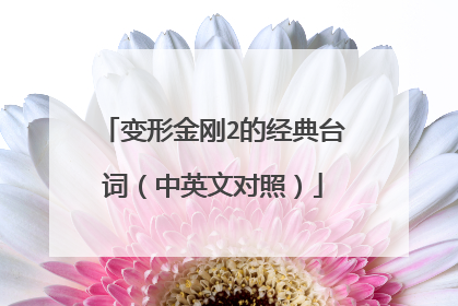 变形金刚2的经典台词（中英文对照）