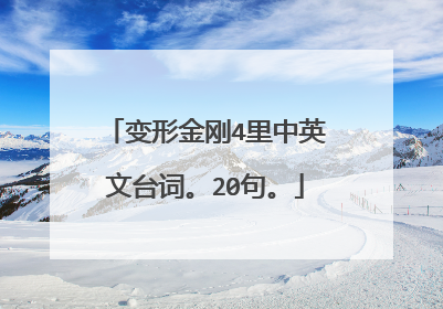 变形金刚4里中英文台词。20句。