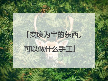 变废为宝的东西,可以做什么手工