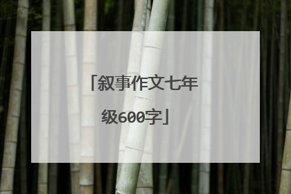 叙事作文七年级600字