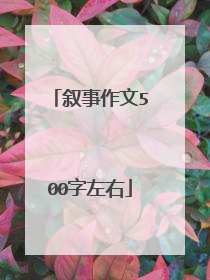 叙事作文500字左右