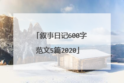 叙事日记600字范文5篇2020