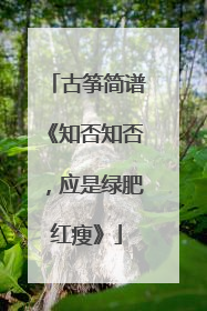 古筝简谱《知否知否,应是绿肥红瘦》